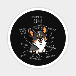 Corgi Tri Color Dog Anatomy Magnet